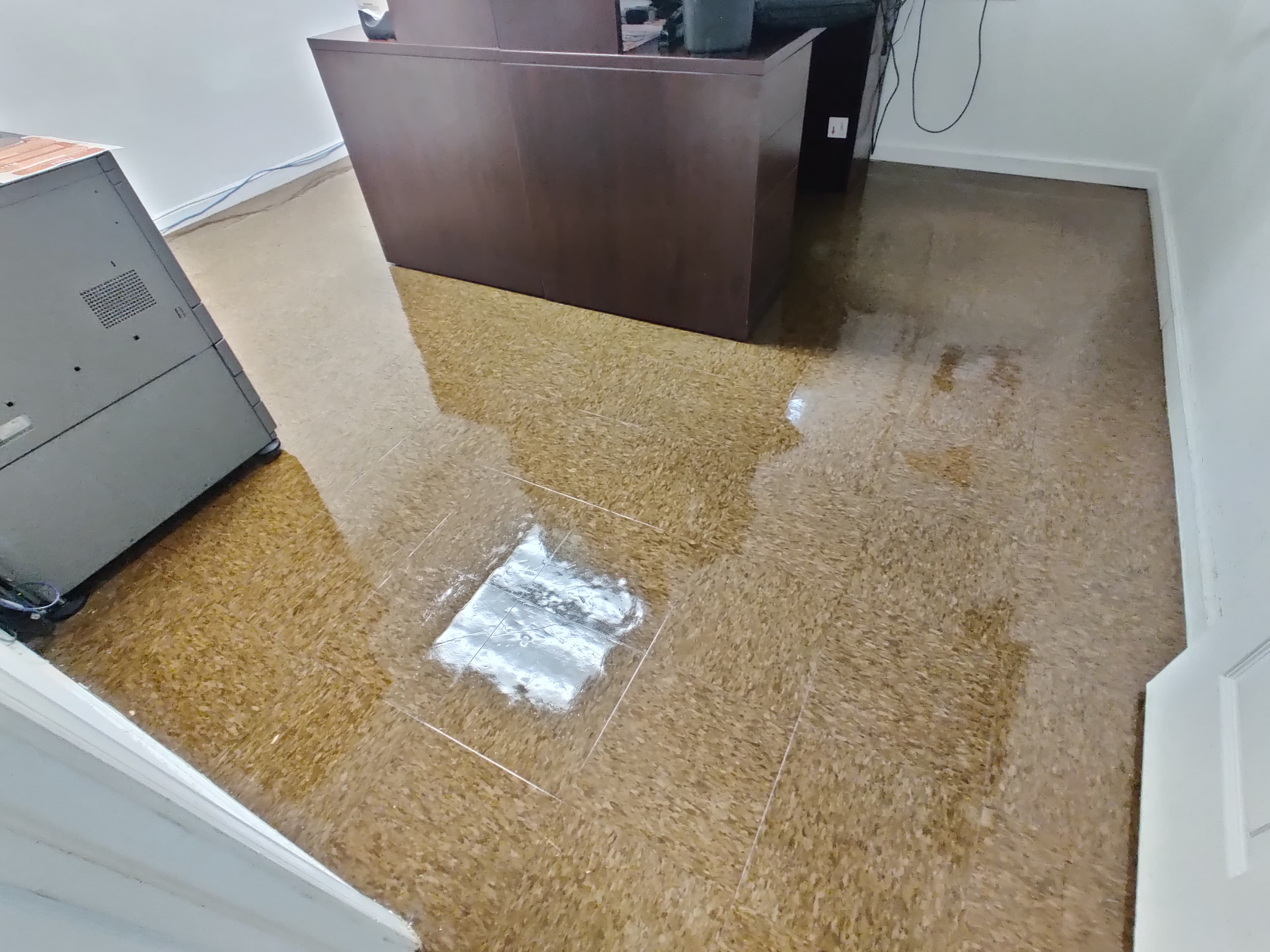 Global Cleaning USA LLC commercial janitorial project photography — New Jersey and Eastern Pennsylvania (33 of 38).